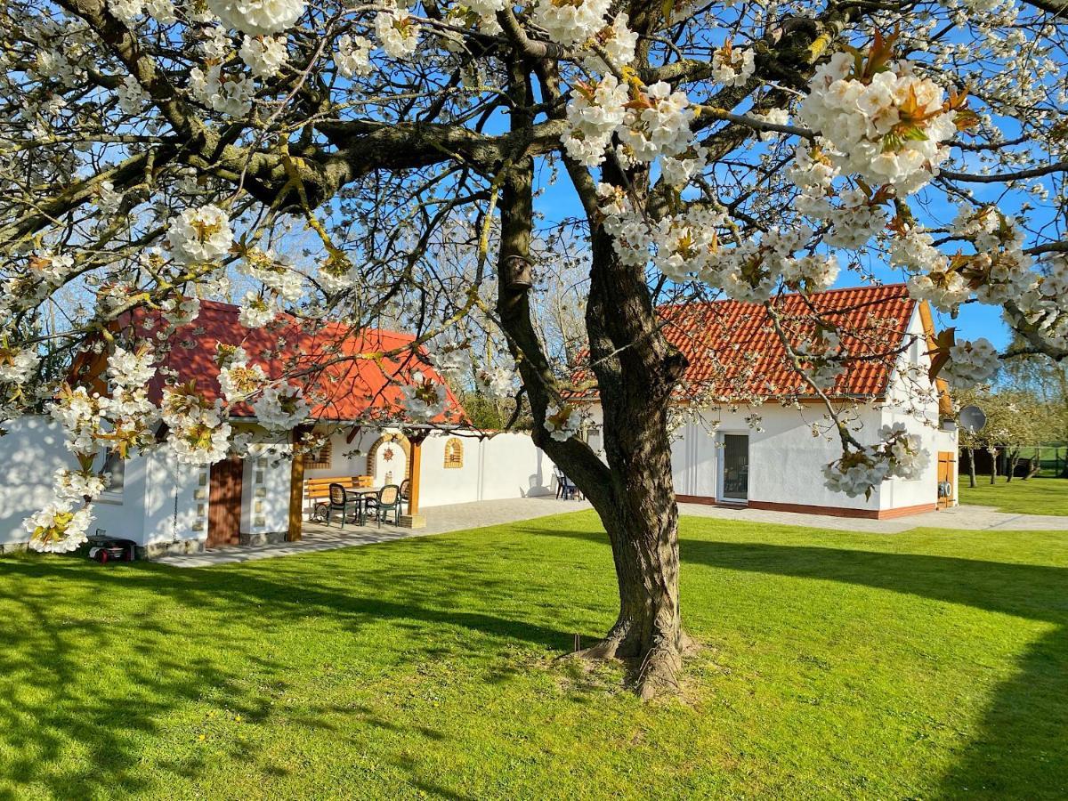 Ferienhaus Berta Sassnitz Exteriér fotografie